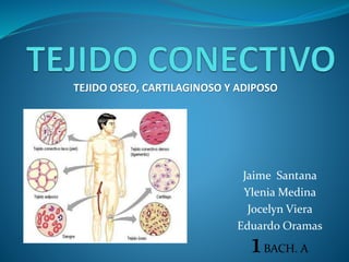 TEJIDO OSEO, CARTILAGINOSO Y ADIPOSO 
Jaime Santana 
Ylenia Medina 
Jocelyn Viera 
Eduardo Oramas 
1 BACH. A 
 