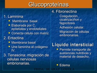 Tejido conect y adip | PPT