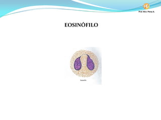 EOSINÓFILO
 