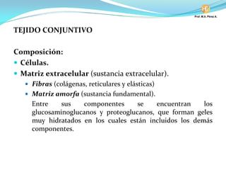 TEJIDO CONJUNTIVO
Composición:
Células.
Matriz extracelular (sustancia extracelular).
Fibras (colágenas, reticulares y elásticas)
Matriz amorfa (sustancia fundamental).
Entre sus componentes se encuentran los
glucosaminoglucanos y proteoglucanos, que forman geles
muy hidratados en los cuales están incluidos los demás
componentes.
 