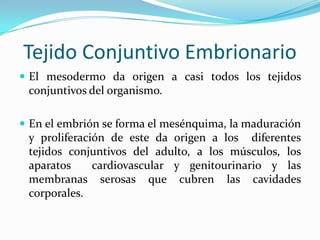 T. C. MucosoTejido Conjuntivo del  AdultoT. C. Laxo