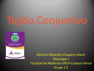 Tejido Conjuntivo

         Adriana Alejandra Chaparro Marín
                    Histología I
     Facultad de Medicina UACH-Campus Parral
                     Grupo 1.5
 