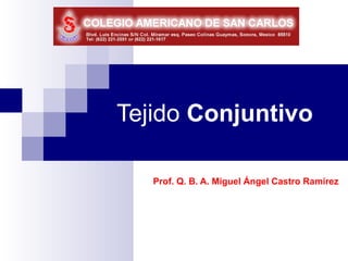 Tejido Conjuntivo

   Prof. Q. B. A. Miguel Ángel Castro Ramírez
 