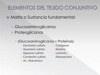  Matriz o Sustancia fundamental:
› Glucosaminoglicanos
› Proteoglicanos
 (Glucosaminoglicanos + Proteínas)
 Dermatan sulfato Colágena
 Queratan sulfato Elastina
 Heparan sulfato Laminita
 Condroitin sulfato Fibronectina
 Ac. Hialurónico
 
