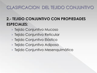2.- TEJIDO CONJUNTIVO CON PROPIEDADES
ESPECIALES:
› Tejido Conjuntivo Mucoso
› Tejido Conjuntivo Reticular
› Tejido Conjuntivo Elástico
› Tejido Conjuntivo Adiposo
› Tejido Conjuntivo Mesenquimático
 