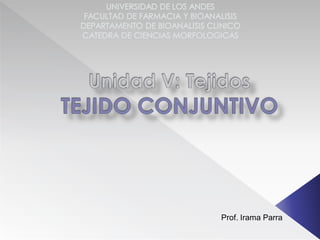 Prof. Irama Parra
 