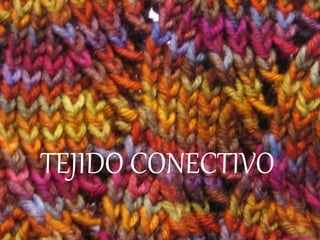 TEJIDO CONECTIVO
 