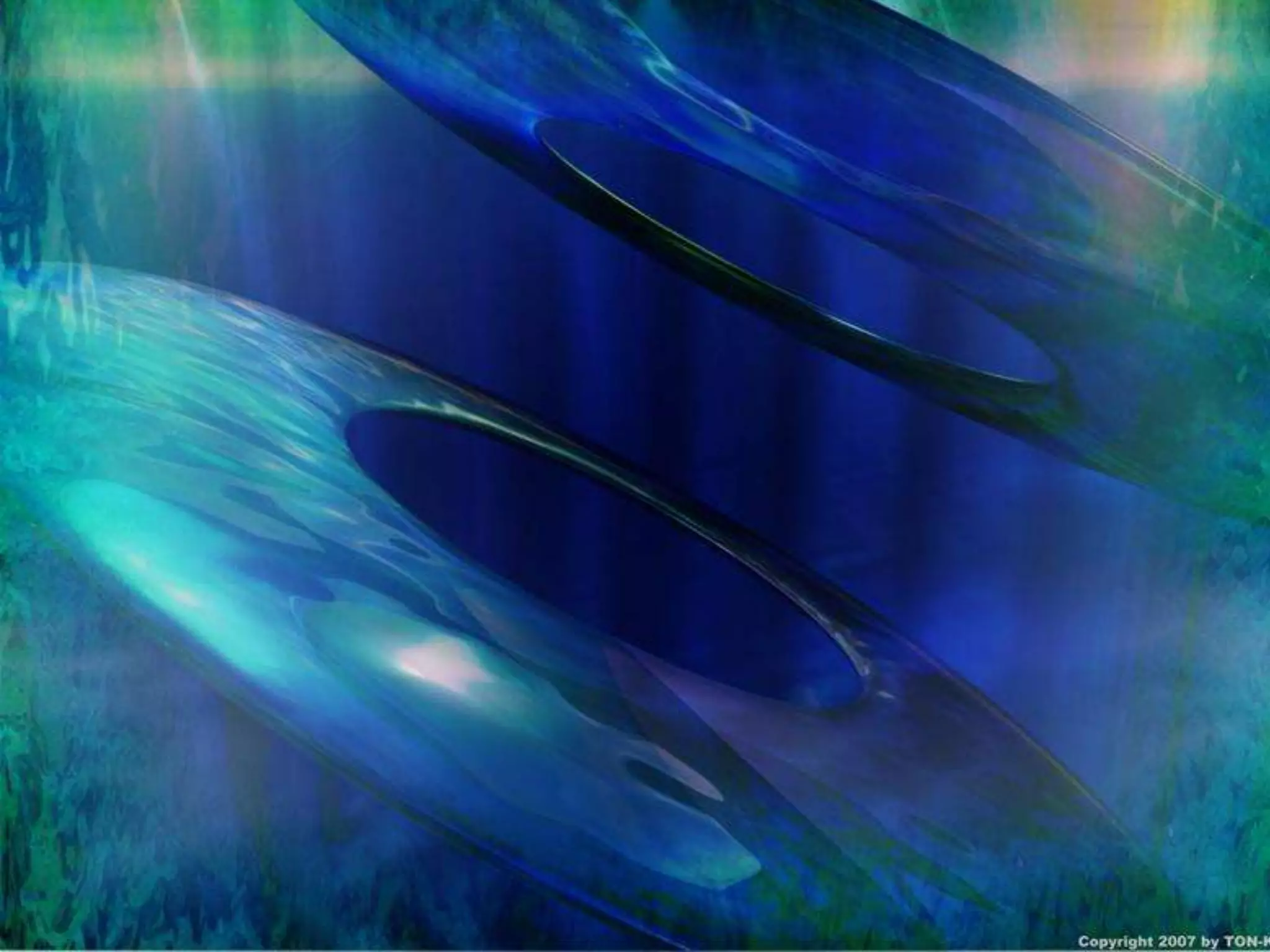 Tejido conjuntivo conectivo