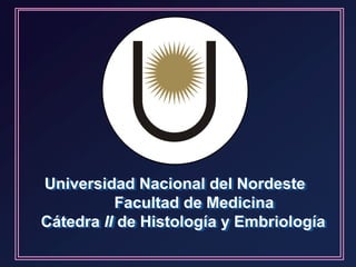 Universidad Nacional del Nordeste
Facultad de Medicina
Cátedra II de Histología y Embriología
 