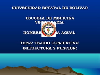 UNIVERSIDAD ESTATAL DE BOLIVARUNIVERSIDAD ESTATAL DE BOLIVAR
ESCUELA DE MEDICINAESCUELA DE MEDICINA
VETERINARIAVETERINARIA
NOMBRE DAYANA AGUALNOMBRE DAYANA AGUAL
TEMA: TEJIDO CONJUNTIVOTEMA: TEJIDO CONJUNTIVO
EXTRUCTURA Y FUNCION:EXTRUCTURA Y FUNCION:
 