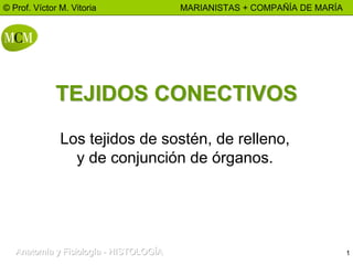 1
© Prof. Víctor M. Vitoria MARIANISTAS + COMPAÑÍA DE MARÍA
Anatomía y FisiologíaAnatomía y FisiologíaAnatomía y Fisiología --- HISTOLOGÍAHISTOLOGÍAHISTOLOGÍA
TEJIDOS CONECTIVOSTEJIDOS CONECTIVOS
Los tejidos de sostén, de relleno,
y de conjunción de órganos.
 