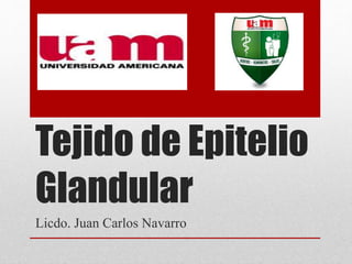 Tejido de Epitelio 
Glandular 
Licdo. Juan Carlos Navarro 
 