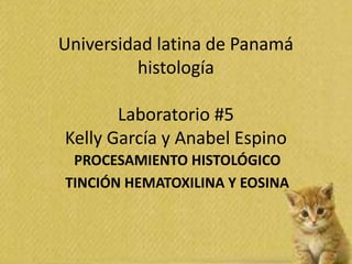 Universidad latina de Panamá
histología
Laboratorio #5
Kelly García y Anabel Espino
PROCESAMIENTO HISTOLÓGICO
TINCIÓN HEMATOXILINA Y EOSINA
 