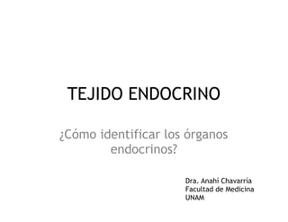 TEJIDO ENDOCRINO
¿Cómo identificar los órganos
endocrinos?
Dra. Anahí Chavarría
Facultad de Medicina
UNAM
 