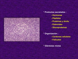 * Productos secretados : - Hormonas - Péptidos - Proteínas y AmAc - Esteroides - Glucoproteínas * Organización : - Cordones celulares - Folículos * Glándulas mixtas 