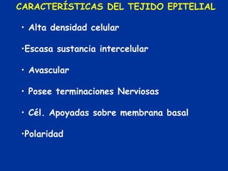 CARACTERÍSTICAS DEL TEJIDO EPITELIAL

• Alta densidad celular

•Escasa sustancia intercelular

• Avascular

• Posee terminaciones Nerviosas

• Cél. Apoyadas sobre membrana basal

•Polaridad
 