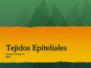 Tejidos Epiteliales
Gustavo Toledo C.
2012
 