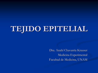 TEJIDO EPITELIAL
Dra. Anahí Chavarría Krauser
Medicina Experimental
Facultad de Medicina, UNAM

 
