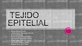 •
•
•
•
•
•
•
•

Norma Sánchez Solís
Jesús Daniel Hernández Román
Ena Castillo Bolio
María Fernanda Rincón Jesús
Alex Daniel Hernández Chable
Paola Karina Carballo Álvarez
Iván Alexis Montejo Ovalle
Esteban de la Cruz Pérez

 