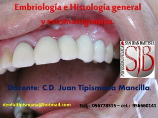 Embriología e Histología general
yestomatognatica.
Docente: C.D. Juan Tipismana Mancilla.
dentaltipismana@hotmail.com Telf.: 056778515 – cel.: 956660141
 