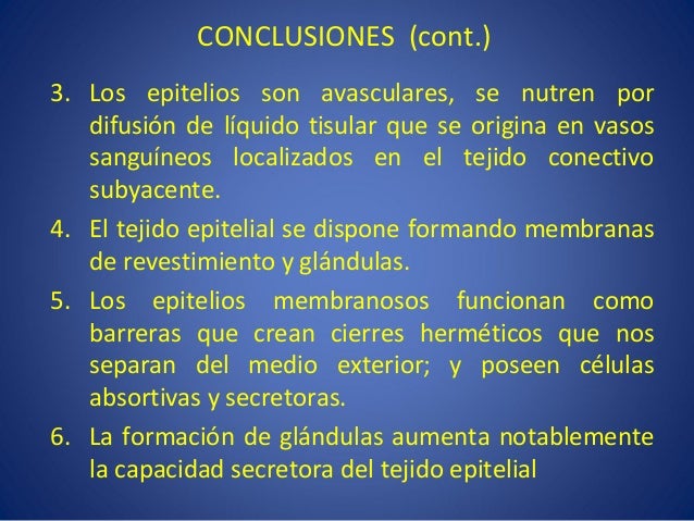 Tejido epitelial