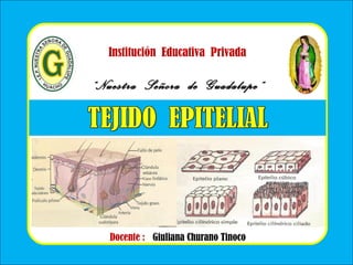 Institución Educativa Privada
““Nuestra Señora de Guadalupe”Nuestra Señora de Guadalupe”
Docente : Giuliana Churano Tinoco
 