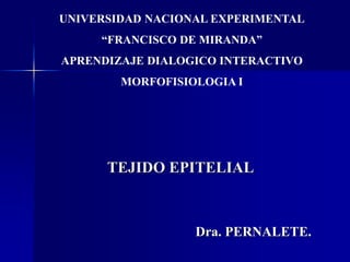 TEJIDO EPITELIAL
Dra. PERNALETE.
UNIVERSIDAD NACIONAL EXPERIMENTAL
“FRANCISCO DE MIRANDA”
APRENDIZAJE DIALOGICO INTERACTIVO
MORFOFISIOLOGIA I
 