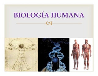 
BIOLOGÍA HUMANA
 