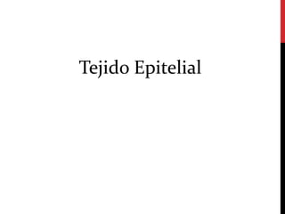 Tejido Epitelial
 