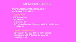 Tejido Epitelial medicina (1)-compactado.pdf