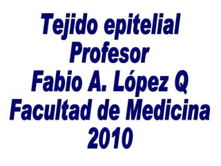 Tejido epitelial Profesor  Fabio A. López Q Facultad de Medicina 2010 