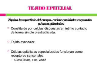 TEJIDO EPITELIAL

Tapiza la superficie del cuerpo, reviste cavidades corporales
                      y form glándulas.
  ...