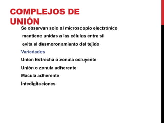 COMPLEJOS DE
UNIÓN
Se observan solo al microscopio electrónico
mantiene unidas a las células entre si
evita el desmoronamiento del tejido
Variedades
Union Estrecha o zonula ocluyente
Unión o zonula adherente
Macula adherente
Intedigitaciones
 