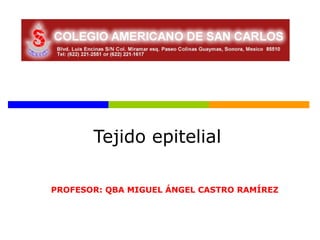 Tejido epitelial

PROFESOR: QBA MIGUEL ÁNGEL CASTRO RAMÍREZ
 