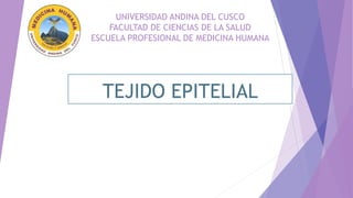UNIVERSIDAD ANDINA DEL CUSCO
FACULTAD DE CIENCIAS DE LA SALUD
ESCUELA PROFESIONAL DE MEDICINA HUMANA
TEJIDO EPITELIAL
 