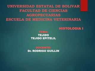 UNIVERSIDAD ESTATAL DE BOLIVAR
FACULTAD DE CIENCIAS
AGROPECUARIAS
ESCUELA DE MEDICINA VETERINARIA
HISTOLOGIA I
TEMA:
TEJIDO
TEJIDO EPITELIL
DOCENTE:
Dr. RODRIGO GUILLIN
 