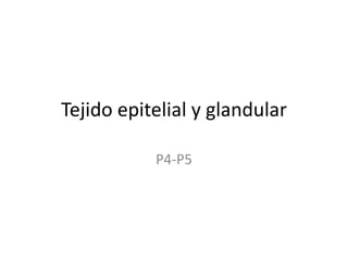Tejido epitelial y glandular
P4-P5
 