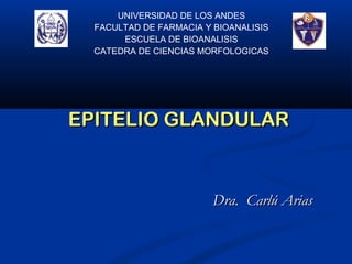 EPITELIO GLANDULAREPITELIO GLANDULAR
Dra. Carlú AriasDra. Carlú Arias
UNIVERSIDAD DE LOS ANDES
FACULTAD DE FARMACIA Y BIOANALISIS
ESCUELA DE BIOANALISIS
CATEDRA DE CIENCIAS MORFOLOGICAS
 