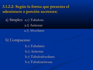 3.1.2.2- Según la forma que presenta el3.1.2.2- Según la forma que presenta el
adenómero o porción secretora:adenómero o porción secretora:
a) Simples:a) Simples: a.a.11) Tubulosa) Tubulosa
a.a.22) Acinosas) Acinosas
a.a.33) Alveolares) Alveolares
b) Compuestas:b) Compuestas:
b.b.1)1) TubularesTubulares
b.b.2)2) AcinosasAcinosas
b.b.3)3) TubuloalveolaresTubuloalveolares
b.b.4)4) TubuloacinosasTubuloacinosas
 