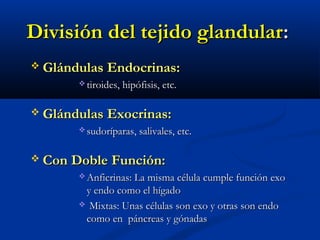 División del tejido glandularDivisión del tejido glandular::
 Glándulas Endocrinas:Glándulas Endocrinas:
 tiroides, hipófisis, etc.tiroides, hipófisis, etc.
 Glándulas Exocrinas:Glándulas Exocrinas:
 sudoríparas, salivales, etc.sudoríparas, salivales, etc.
 Con Doble Función:Con Doble Función:
 Anficrinas: La misma célula cumple función exoAnficrinas: La misma célula cumple función exo
y endo como el hígadoy endo como el hígado
 Mixtas: Unas células son exo y otras son endoMixtas: Unas células son exo y otras son endo
como en páncreas y gónadascomo en páncreas y gónadas
 