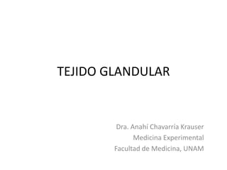 TEJIDO GLANDULAR

Dra. Anahí Chavarría Krauser
Medicina Experimental
Facultad de Medicina, UNAM

 