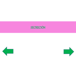 SECRECIÓN 
 