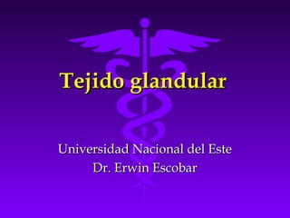 Tejido glandular

Universidad Nacional del Este
     Dr. Erwin Escobar
 
