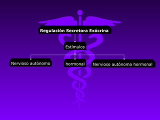 Regulación Secretora Exócrina



                      Estímulos



Nervioso autónomo     hormonal    Nervioso autónomo hormonal
 