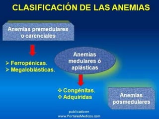 ¿Cuáles son las consecuencias de la anemia a largo plazo?Cuando no es tratada durante un período prolongado puede afectar órganos vitales como el corazón y los riñones, así como también agravar otras enfermedades.En los niños aún la anemia leve se asocia a retrasos en el crecimiento y el desarrollo mental y psicomotor.En la embarazada la anemia severa puede afectar al niño, provocando insuficiente peso al nacer, partos prematuros e inclusive pérdida del embarazo. El importante causa de mortalidad y morbilidad materna e infantil.