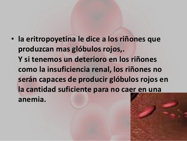 Tejido hematopoyetico en diabetes m. Tejido hematopoyetico en diabetes m.