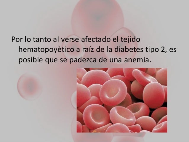 Tejido hematopoyetico en diabetes m. Tejido hematopoyetico en diabetes m.