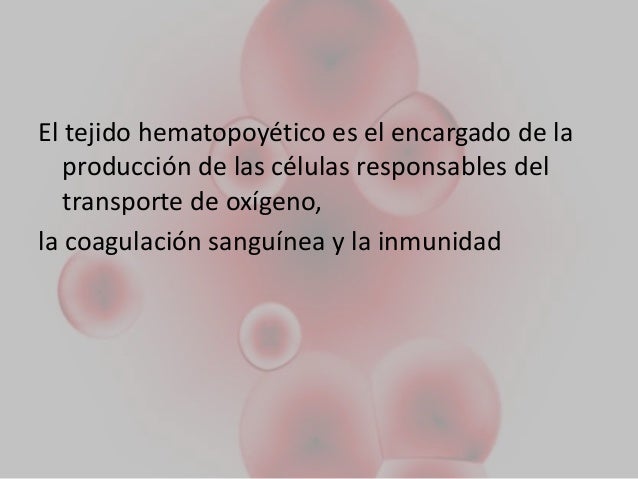 Tejido hematopoyetico en diabetes m. Tejido hematopoyetico en diabetes m.
