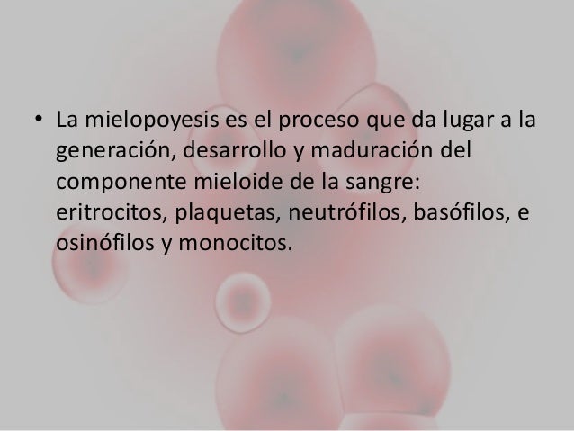 Tejido hematopoyetico en diabetes m. Tejido hematopoyetico en diabetes m.