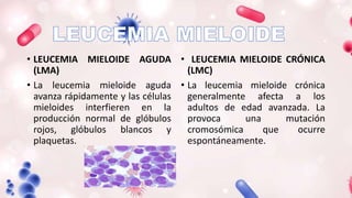 • LEUCEMIA MIELOIDE AGUDA
(LMA)
• La leucemia mieloide aguda
avanza rápidamente y las células
mieloides interfieren en la
producción normal de glóbulos
rojos, glóbulos blancos y
plaquetas.
• LEUCEMIA MIELOIDE CRÓNICA
(LMC)
• La leucemia mieloide crónica
generalmente afecta a los
adultos de edad avanzada. La
provoca una mutación
cromosómica que ocurre
espontáneamente.
 
